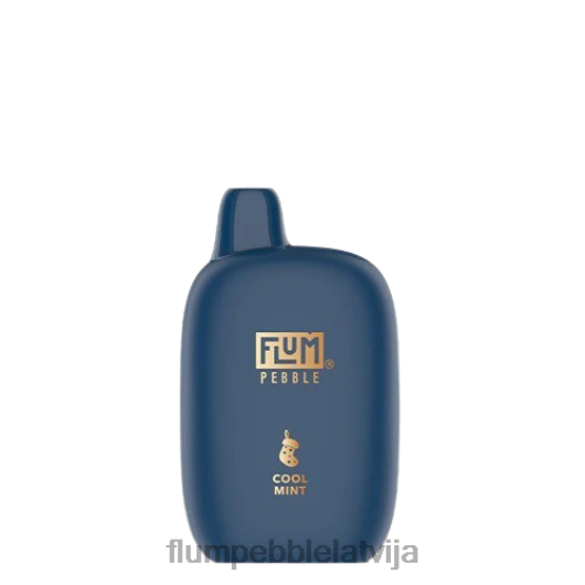 FLUM PEBBLES 6000 uzpūtienu (Ziemassvētku izdevums) Flum Pebble Flavors forša piparmētra B2H2T34