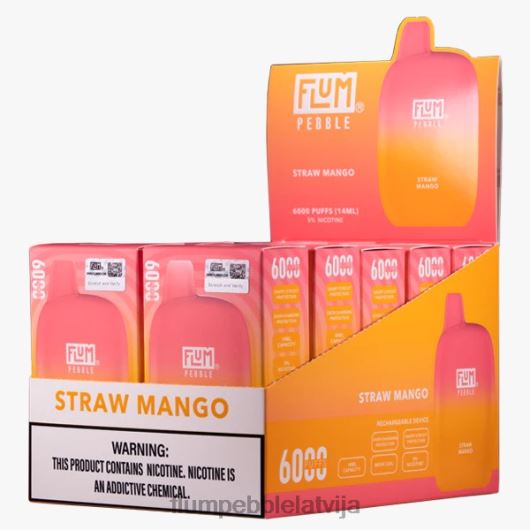FLUM PEBBLES 6000 uzpūtienu 10 iepakojumi Flum Pebble Price salmu mango B2H2T69