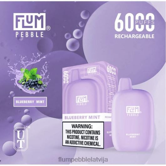 FLUM PEBBLES 6000 uzpūtienu Flum Float Vape Near Me melleņu piparmētra B2H2T17