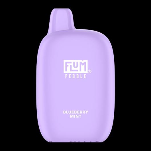 FLUM PEBBLES 6000 uzpūtienu Flum Float Vape Near Me melleņu piparmētra B2H2T17