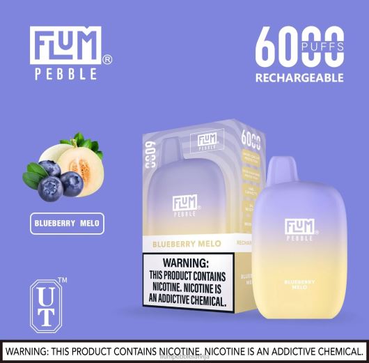 FLUM PEBBLES 6000 uzpūtienu Flum Pebble Best Flavor melleņu melo B2H2T16