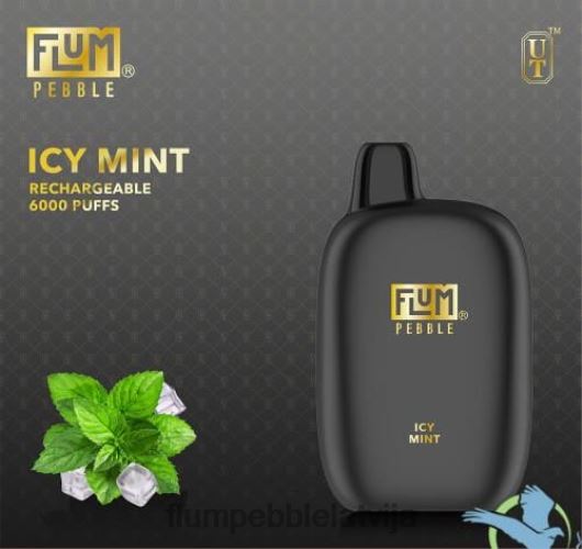 FLUM PEBBLES 6000 uzpūtienu Flum Pebble Price ledaina piparmētra B2H2T49