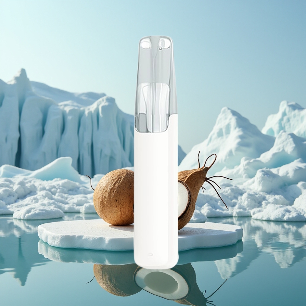 Snowplus Dash 4000 Puffs Disposable Device Kokosūdens 530 mAh
