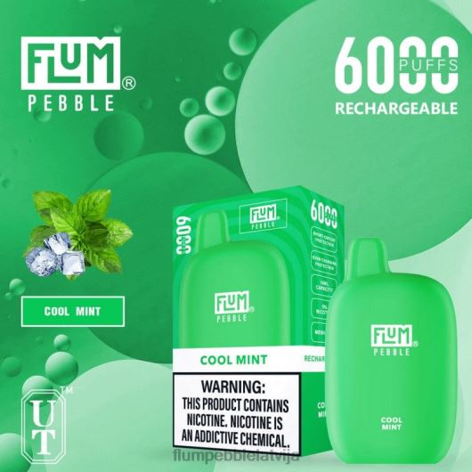 FLUM PEBBLES 6000 uzpūtienu Flum Pebble Flavors forša piparmētra B2H2T24