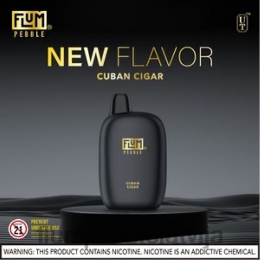 FLUM PEBBLES 6000 uzpūtienu Flum Pebble Price kubas cigārs B2H2T29