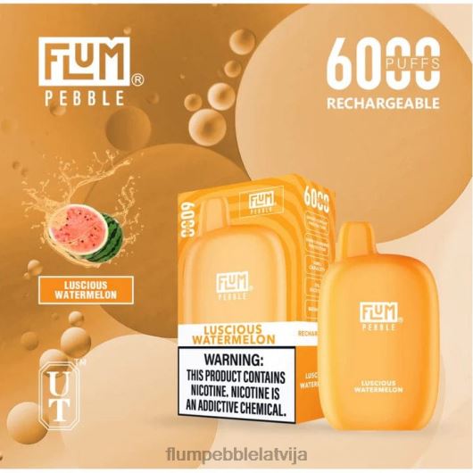 FLUM PEBBLES 6000 uzpūtienu Flum Pebble Vape Ingredients sulīgs arbūzs B2H2T50